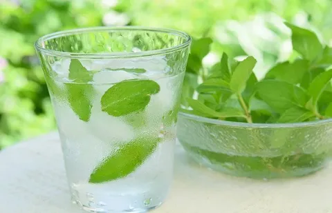 تصویر 2 از خرید عرق نعنا یک و یک + بهترین قیمت